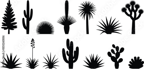 Assortment of desert plant silhouettes including cacti and succulents on white background Keywords: desert plants, cactus