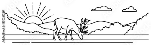 Wild deer grazing in meadow with sunrise over hills background