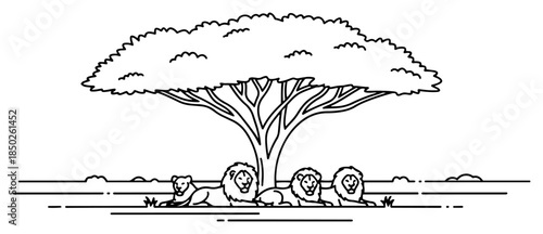 African savanna landscape with a pride of lions resting under an acacia tree