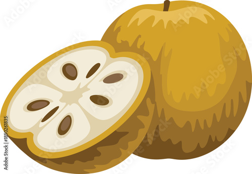 Kumquat fruit cut open showing segments seeds juicy pulp healthy exotic food nature ingredient origin