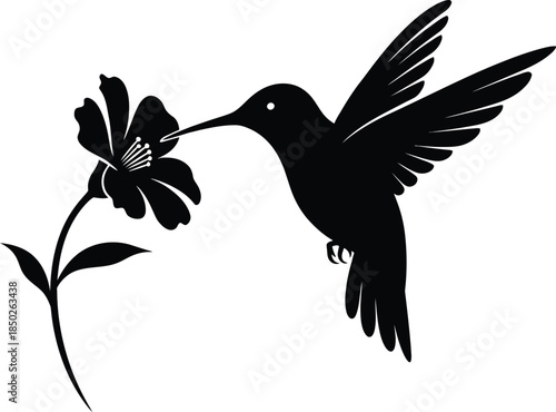 Vector illustration of a black silhouette of a cute flying hummingbird feeding from a flower