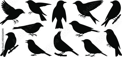 Silhouettes of Various Birds in Different Poses Keywords: bird, birds, silhouette, animal, wildlife, nature, flying, perched