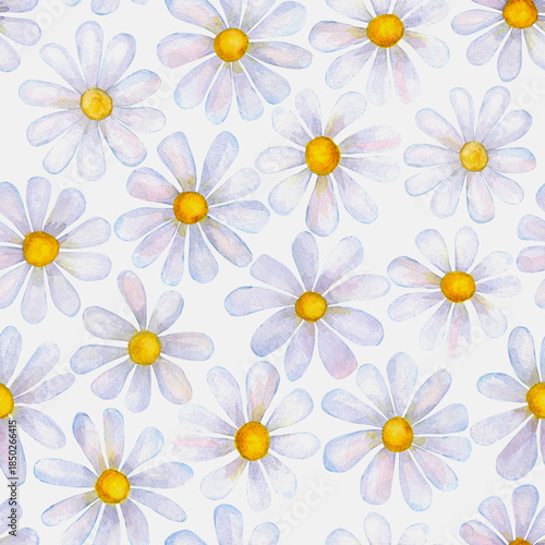 Watercolor chamomile flowers. Beautiful floral seamless pattern