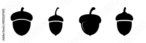 Four black acorns with different shapes and sizes arranged in a horizontal line on white background