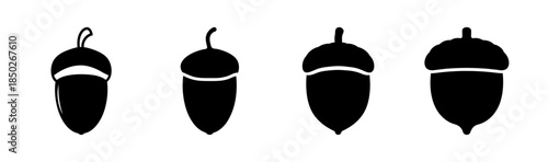Four black acorns with varying cap styles arranged in a row on a white background design
