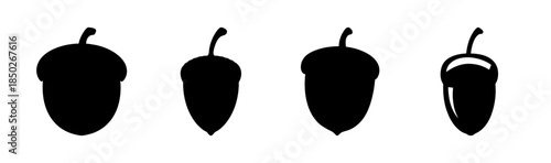 Silhouette illustration of four acorns in varying stages of development and openness on white background