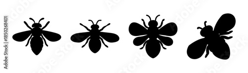Four silhouette images of insects with wings and antennae in a row on a white background