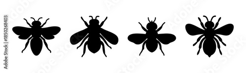 Four insect silhouettes in a row with varying wing shapes and antenna designs in black