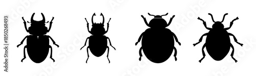 Silhouette illustration showcasing a diverse collection of beetle species in a row format