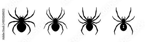 Four black silhouette spider illustrations with varying body and leg shapes on white background