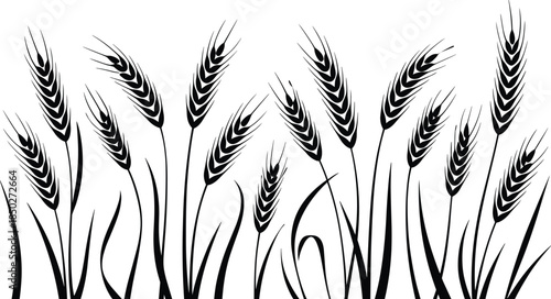 Black wheat ears vector illustration, minimalist agricultural grain design, organic farming harvest background artwork
