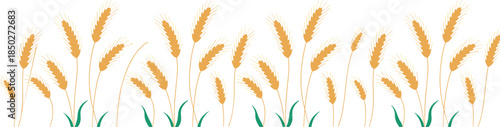Golden wheat ears seamless pattern vector illustration for agriculture harvest background natural design