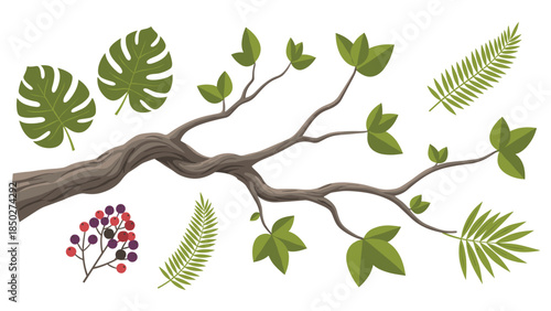 Central tree branch with green leaves, surrounded by a diverse assortment of lush tropical foliage and colorful berries.
