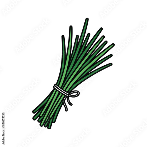 Green chives tied together with string