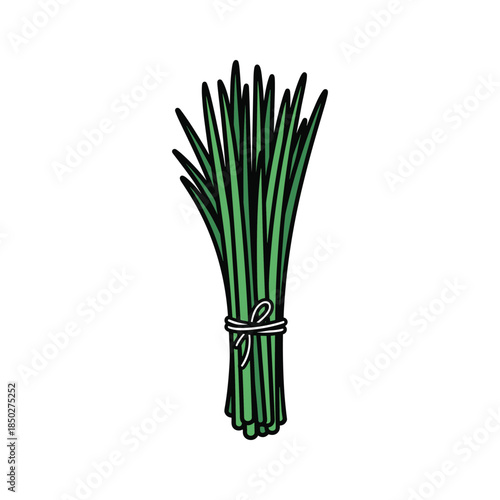 Fresh Green Asparagus Bunch Tied Together