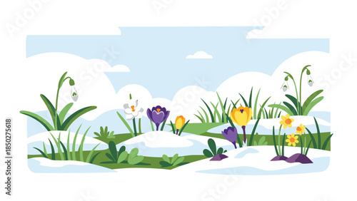 Vibrant spring flowers like crocuses, daffodils, and snowdrops peeking through melting patches of snow under a clear blue sky with fluffy clouds, symbolizing the arrival of spring and new beginnings.