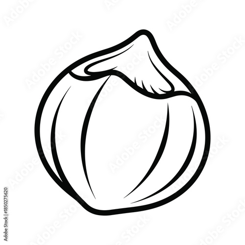 Garlic Clove Illustration Black White