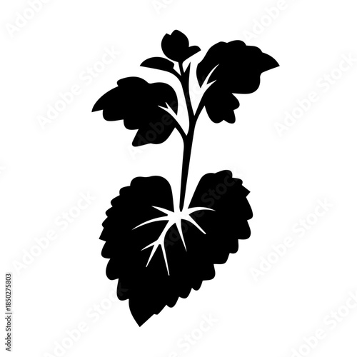 black and white flower vector