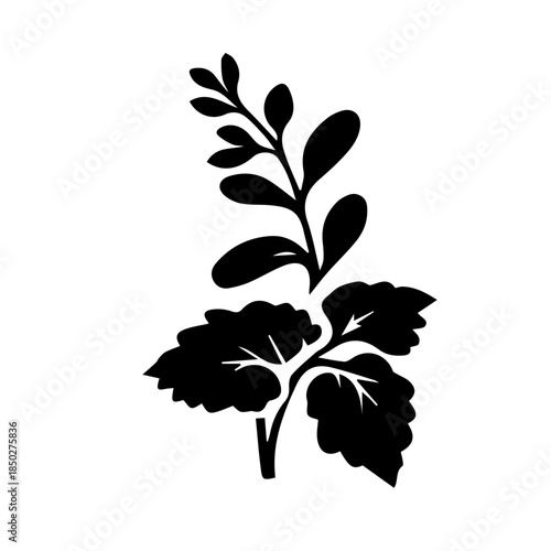 black and white flower vector