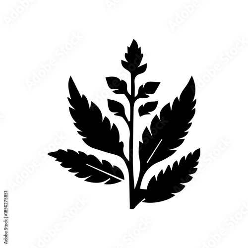 black and white flower vector