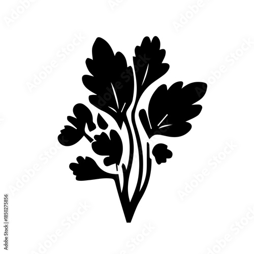 black and white flower vector