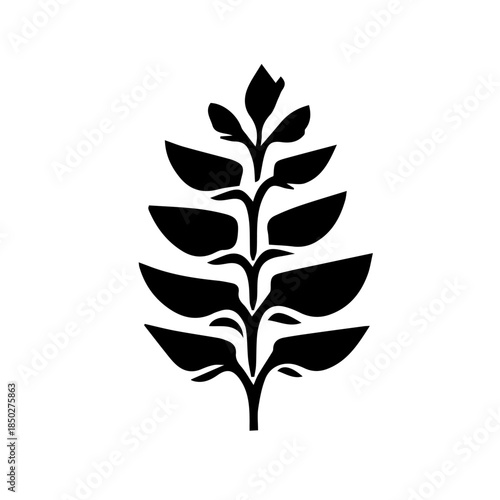 black and white flower vector