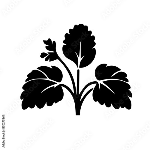 black and white flower vector