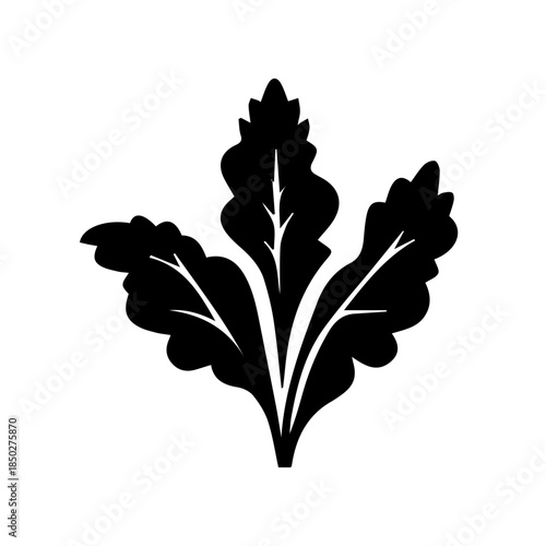 black and white flower vector