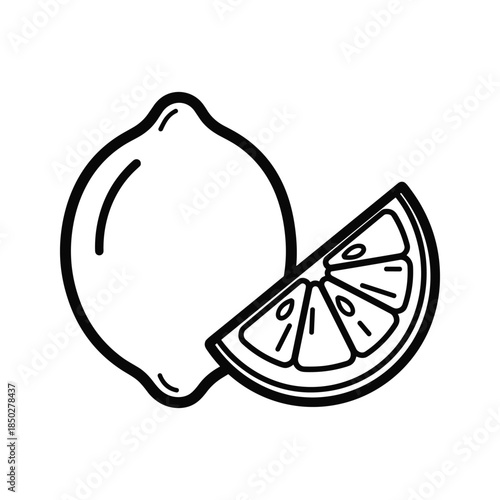Lemon and slice illustration