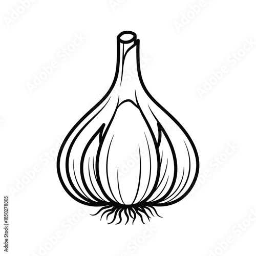 Black and white illustration of a garlic bulb