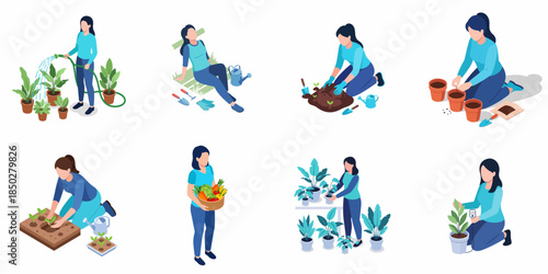 Isometric Woman Engaged in Gardening Activities Illustration Set on White Background