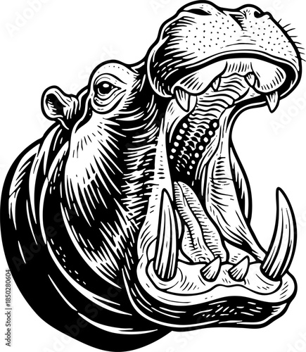 Detailed black and white engraving of a roaring hippo head