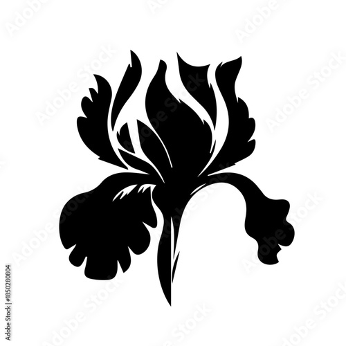 Iris  floral design element