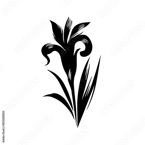 Iris  floral design element