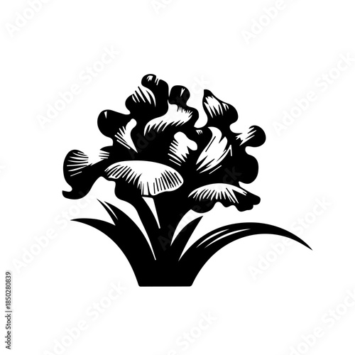 Iris  floral design element