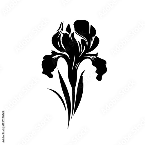 Iris  floral design element
