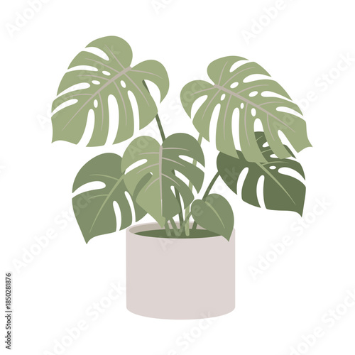 A vibrant monstera deliciosa illustration in a minimalist style perfect for botanical designs