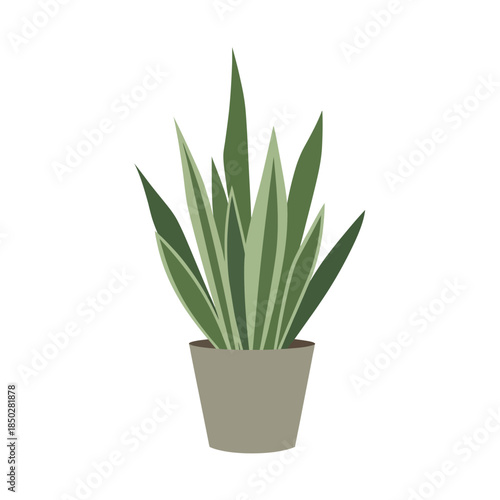 Stylized potted sansevieria plant illustration for botanical decor elements