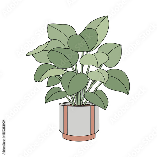 Serene indoor botanical illustration: A verdant houseplant in a minimalist planter radiates