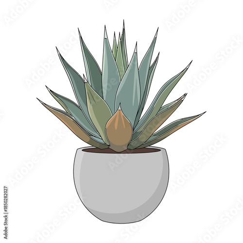Stylized agave illustration in a minimalist pot offering botanical charm and refined design elements