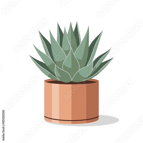 Stylized succulent simplicity a modern botanical illustration with clean aesthetic appeal
