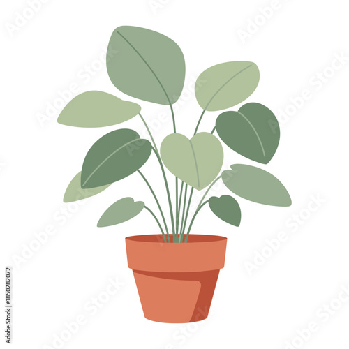 Stylized indoor plant illustration promoting calm and botanical charm design element