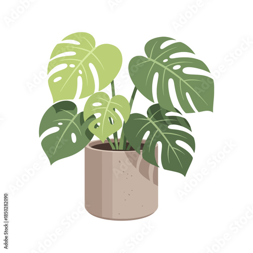 Artistic depiction of a monstera deliciosa plant, showcasing its distinctive leaf structure in a