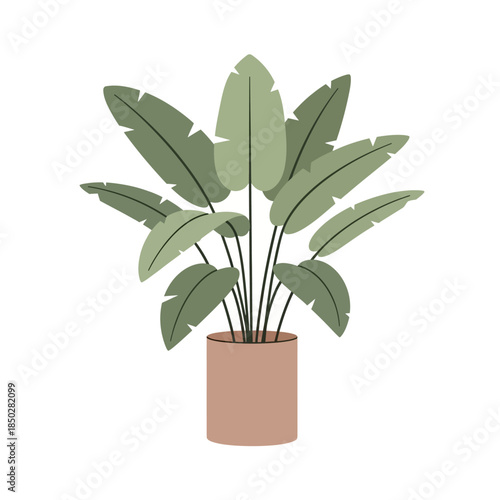 Elegant indoor plant in terracotta pot enhances minimalist aesthetic with its broad leaves