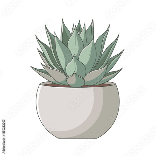 Stylized botanical illustration showcasing an agave plant in a contemporary ceramic pot indoors