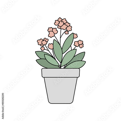 Delicate blossoms in a simple container: a minimalist botanical illustration for a serene touch