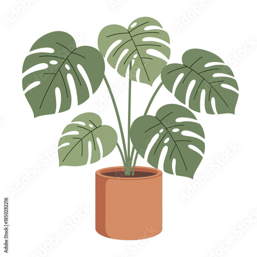 Stylized monstera deliciosa illustration in terracotta pot on clean white background