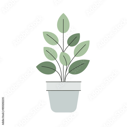 Delicate leafed plant, creating a sense of nature and simplicity for peaceful decor