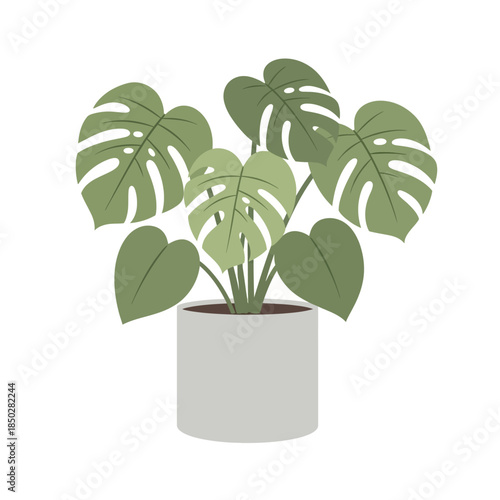 Stylized monstera deliciosa illustration in a modern pot evoking minimalist design aesthetic