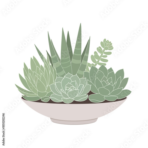 Minimalist vector illustration of assorted succulent plants in a modern decorative bowl centerpiece